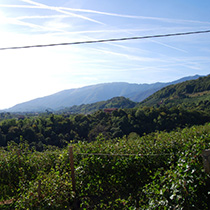 CASA CROTTA